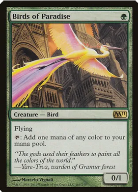 Birds of Paradise (M11-R) Light Play