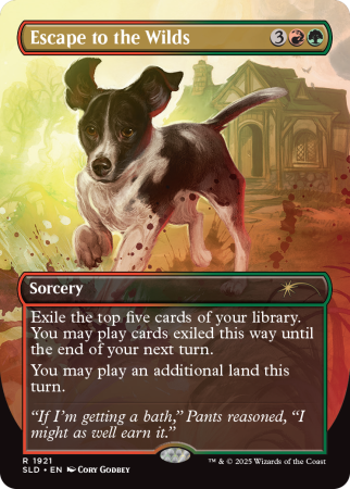 MTG: Secret Lair - Dogs Are Better Than Cats