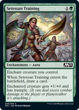 Setessan Training (M21-C)