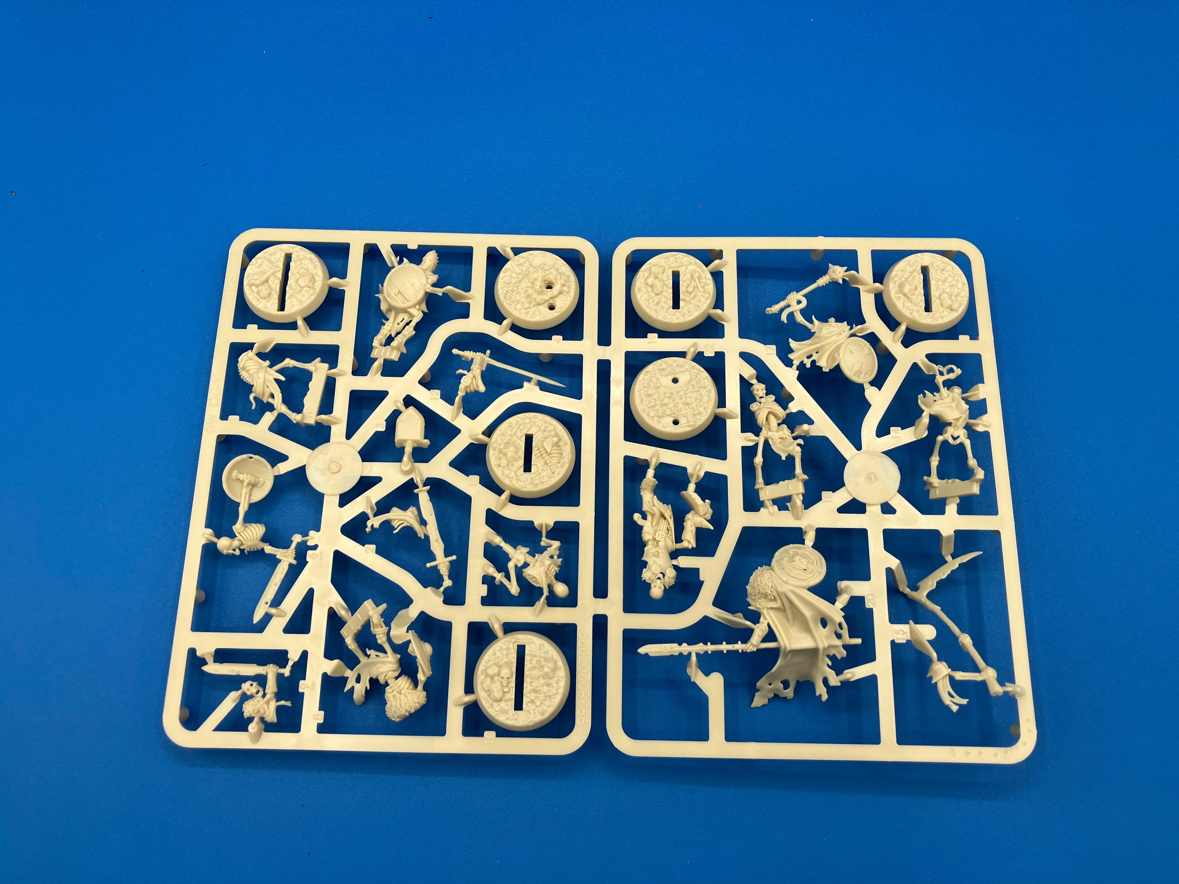 Age of Sigmar: Deathrattle - Sepulchral Guard (USED) (On Sprue) Lot 1