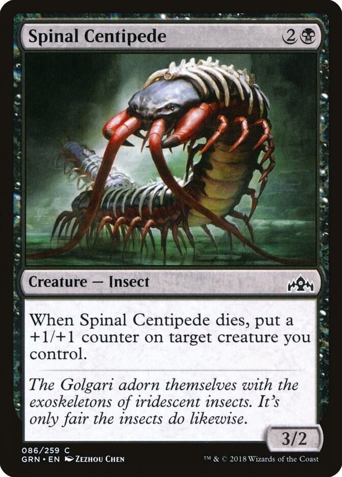 Spinal Centipede (GRN-C)