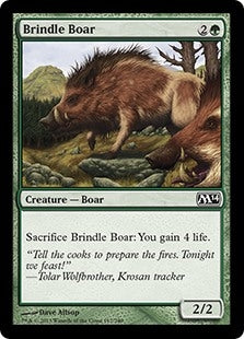 Brindle Boar (M14-C)