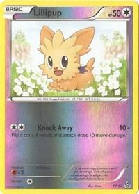Lillipup - BW52 (PR) Promo - Light Play Reverse Holofoil