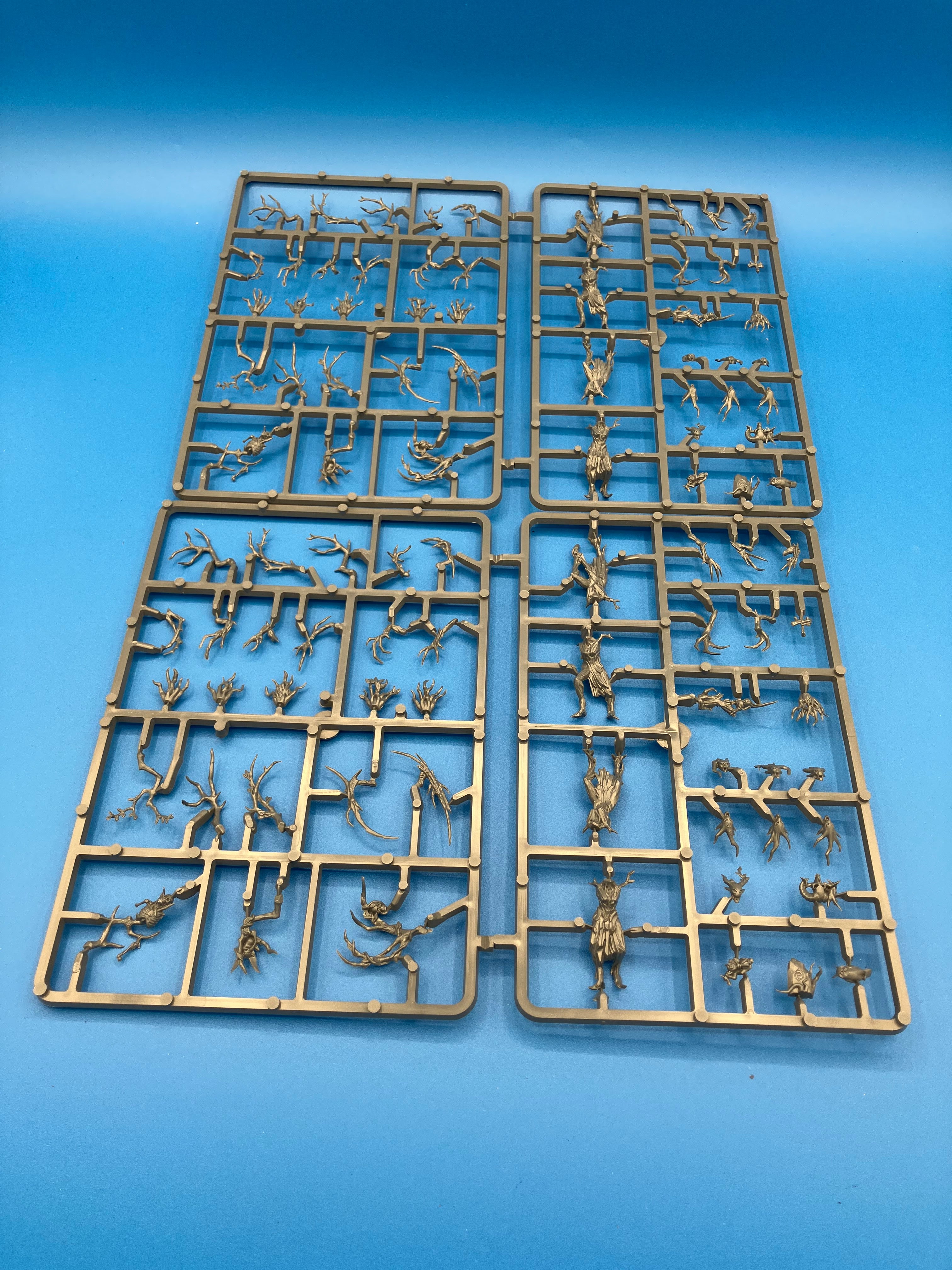 Age of Sigmar: Sylvaneth - Dryads (Used) (On Sprue) Lot 1
