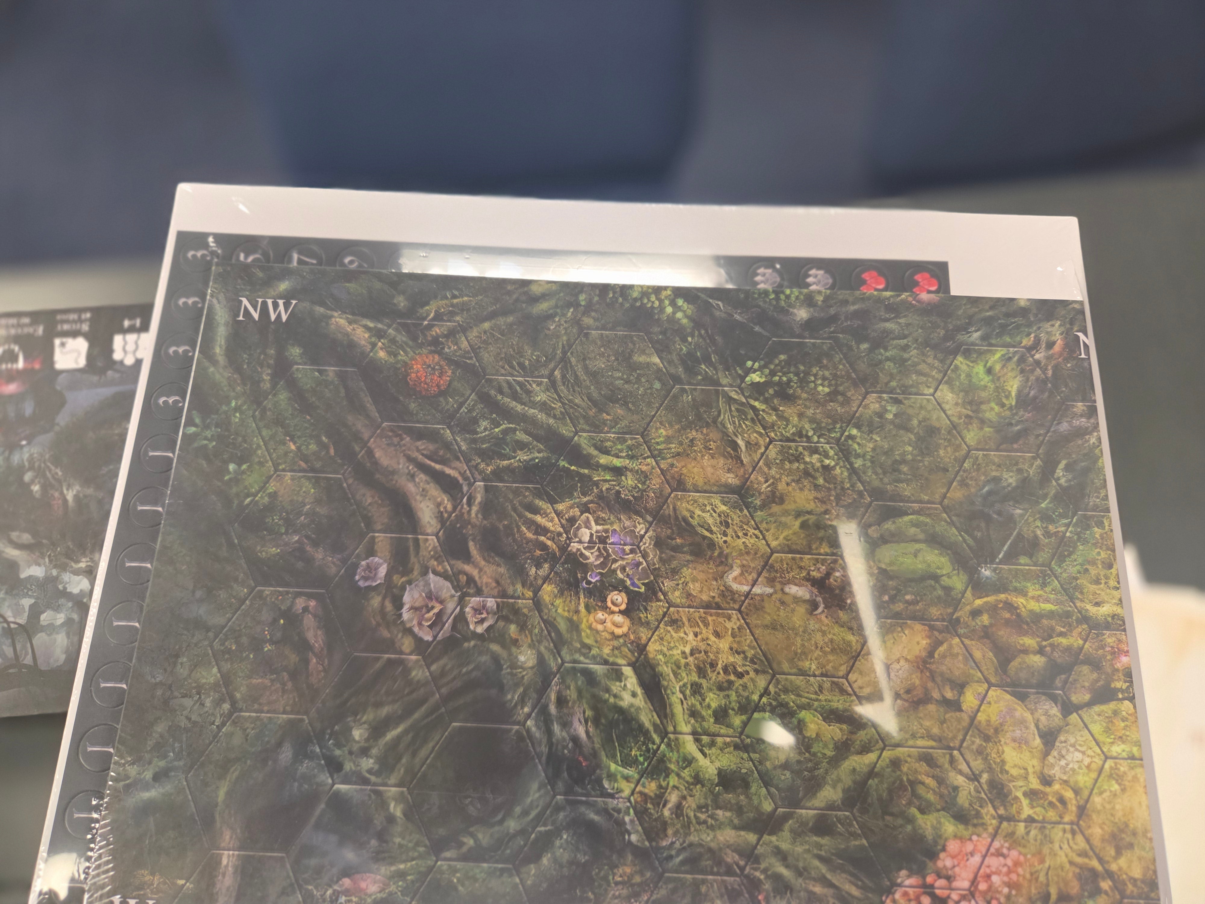 Oathsworn: Into the Deepwood - Bundle