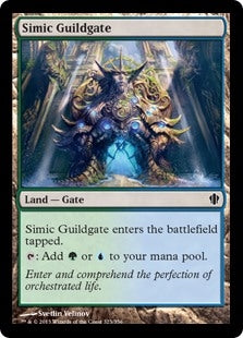 Simic Guildgate (C13-C)