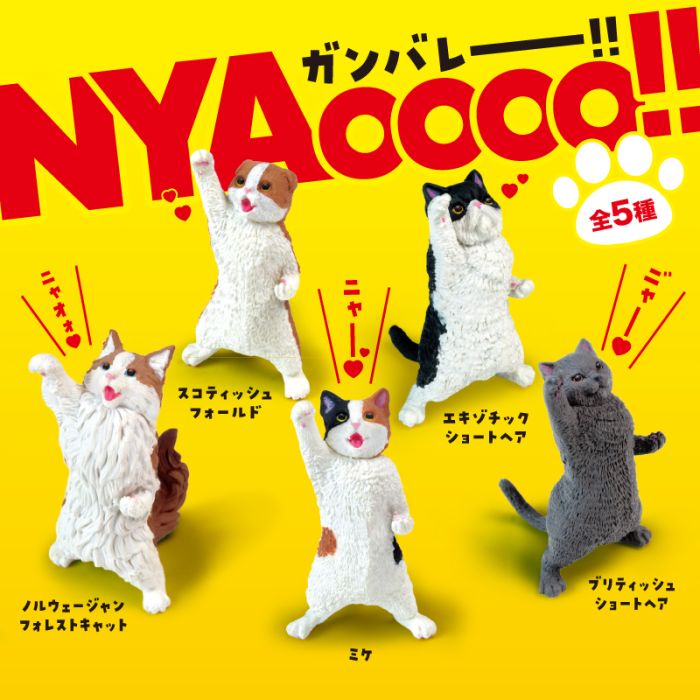Yell: NYAooooo!! Blind Box