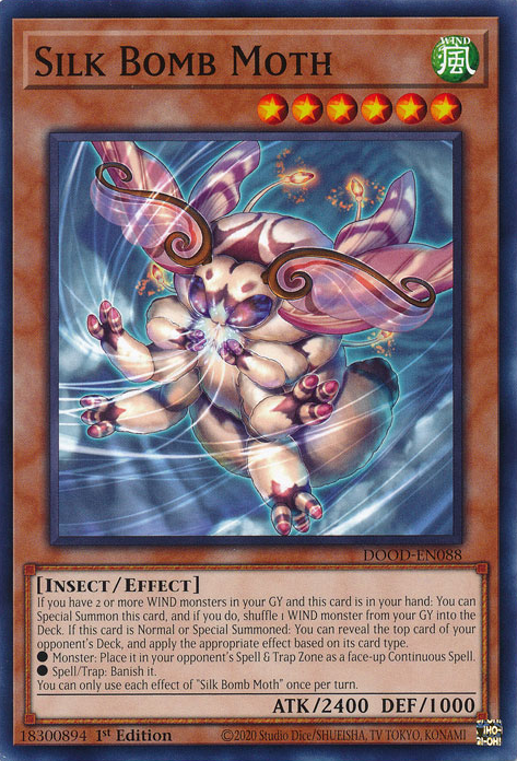 Silk Bomb Moth (DOOD-EN088)