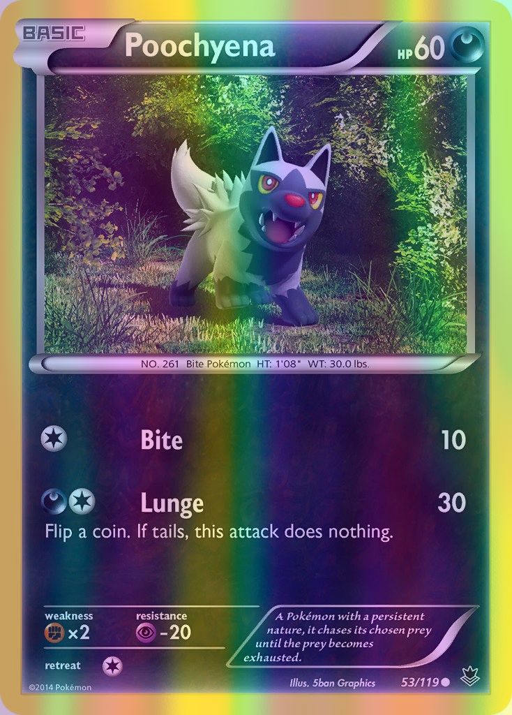 Poochyena - 053/119 (PHF) Common - Near Mint Reverse Holofoil