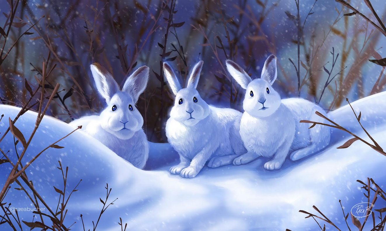Raea Arts: Playmat - Winter Bunnies (2025)