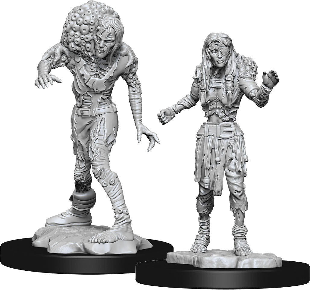 D&D: Nolzur's Marvelous Miniatures - Assassin & Asetic Drowned (90242)