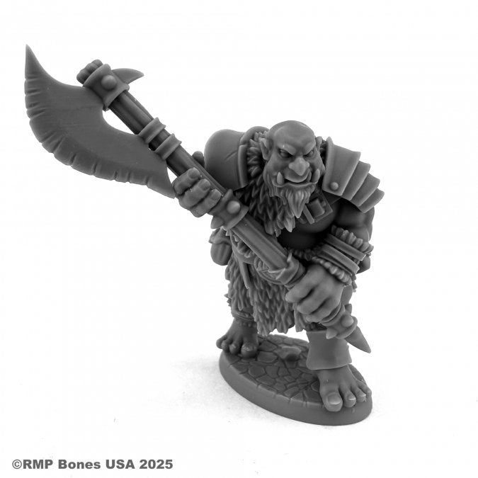 Dungeon Dwellers 07208: Ogre Bodyguard