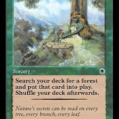 Nature's Lore (POR-C) Heavy Play