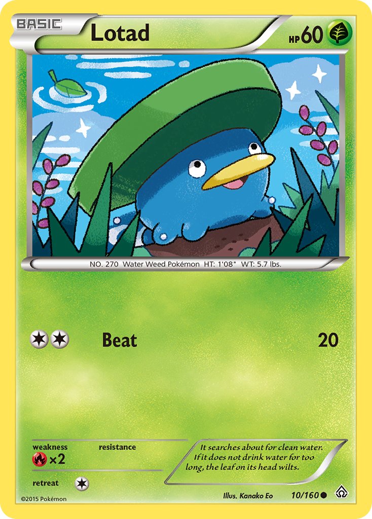 Lotad - 010/160 (PRC) Common - Near Mint