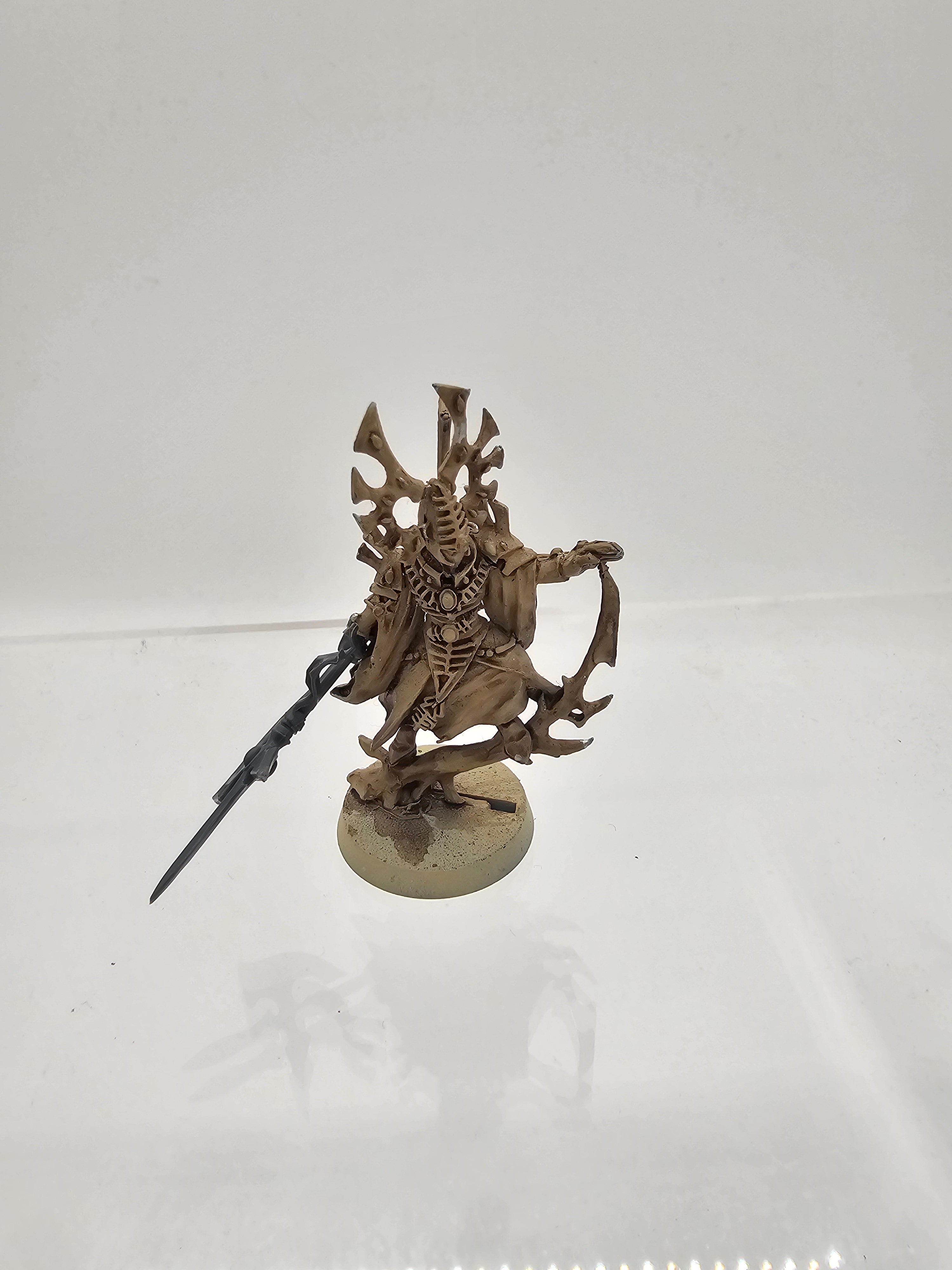 40K: Aeldari - Bonesinger (USED, METAL, OOP)