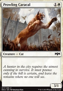 Prowling Caracal (RNA-C)