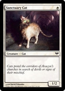 Sanctuary Cat (DKA-C)