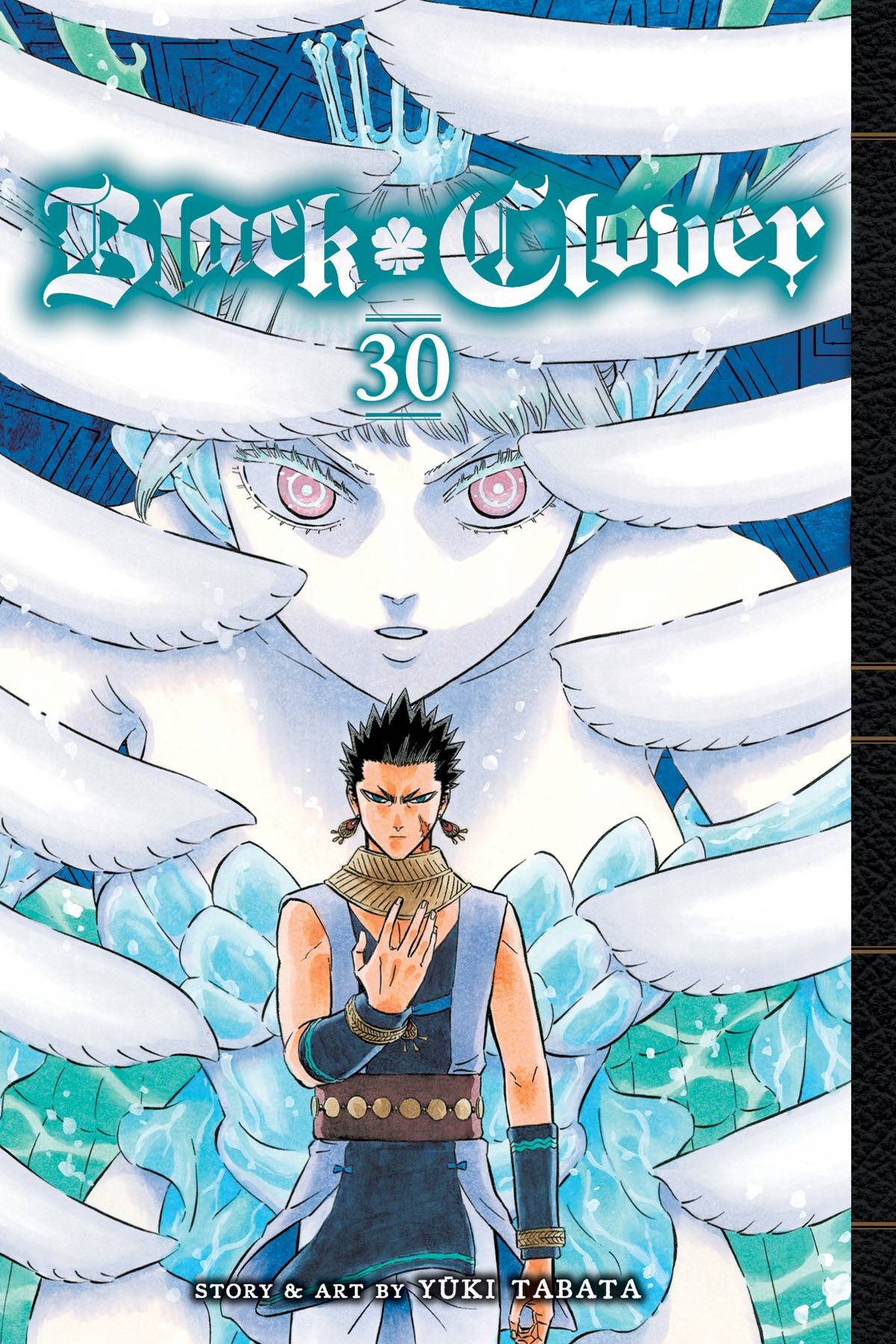 BLACK CLOVER GN VOL 30 (USED)