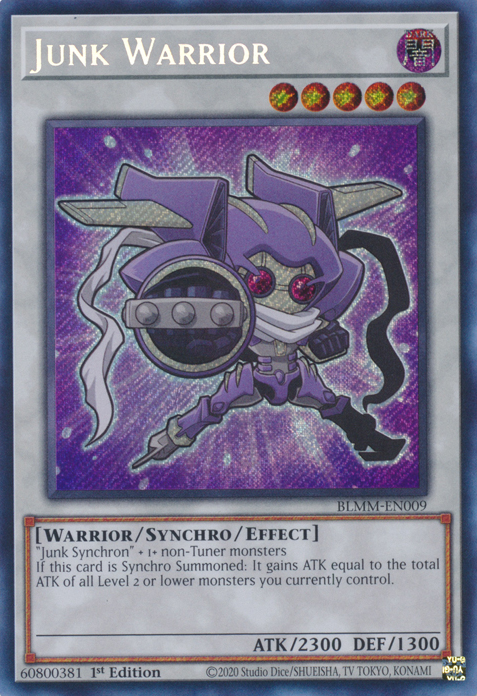 Junk Warrior (BLMM-EN009)