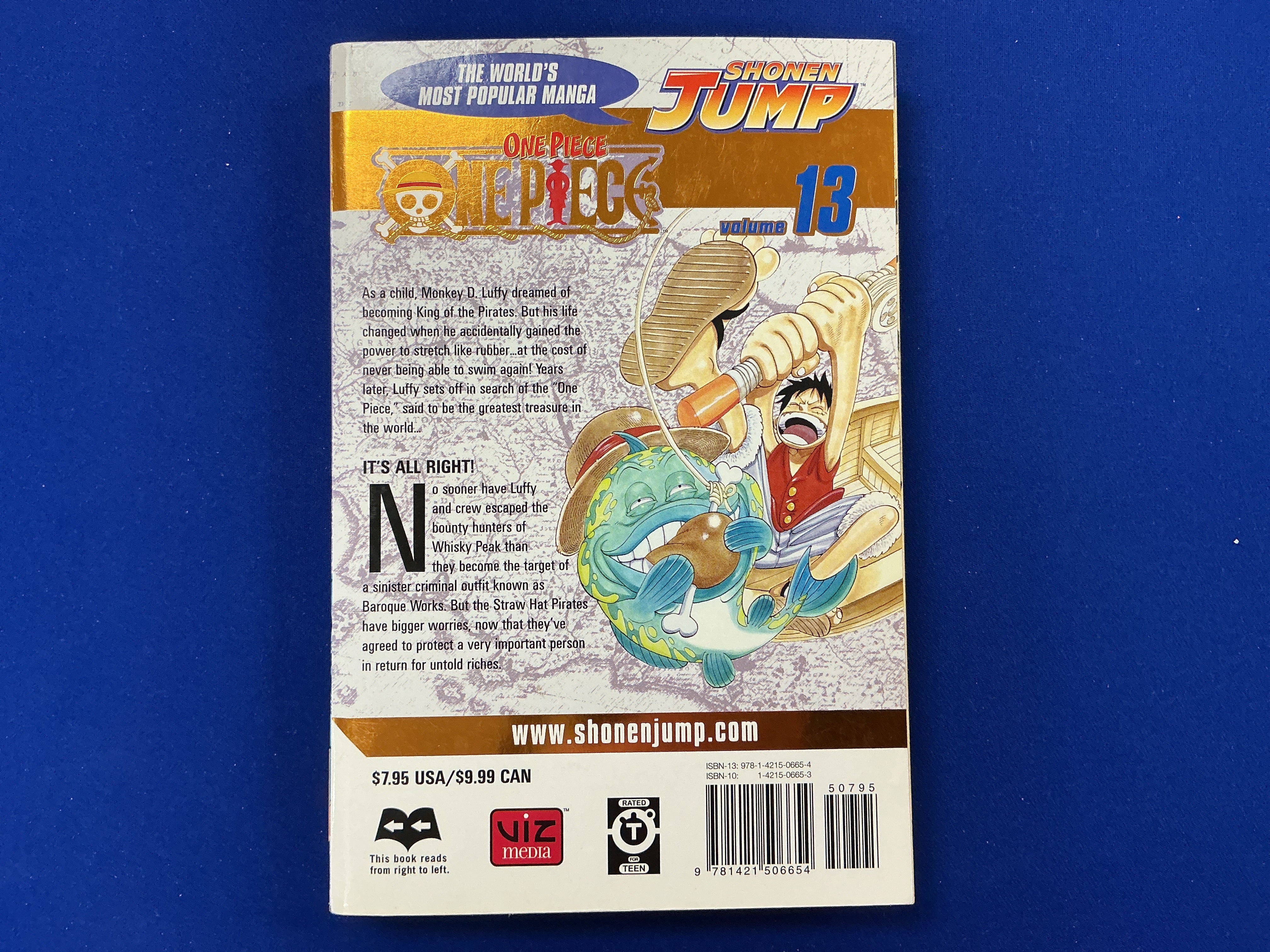 One Piece Gold Foil Cover Volume 13 (First Printing)(USED)