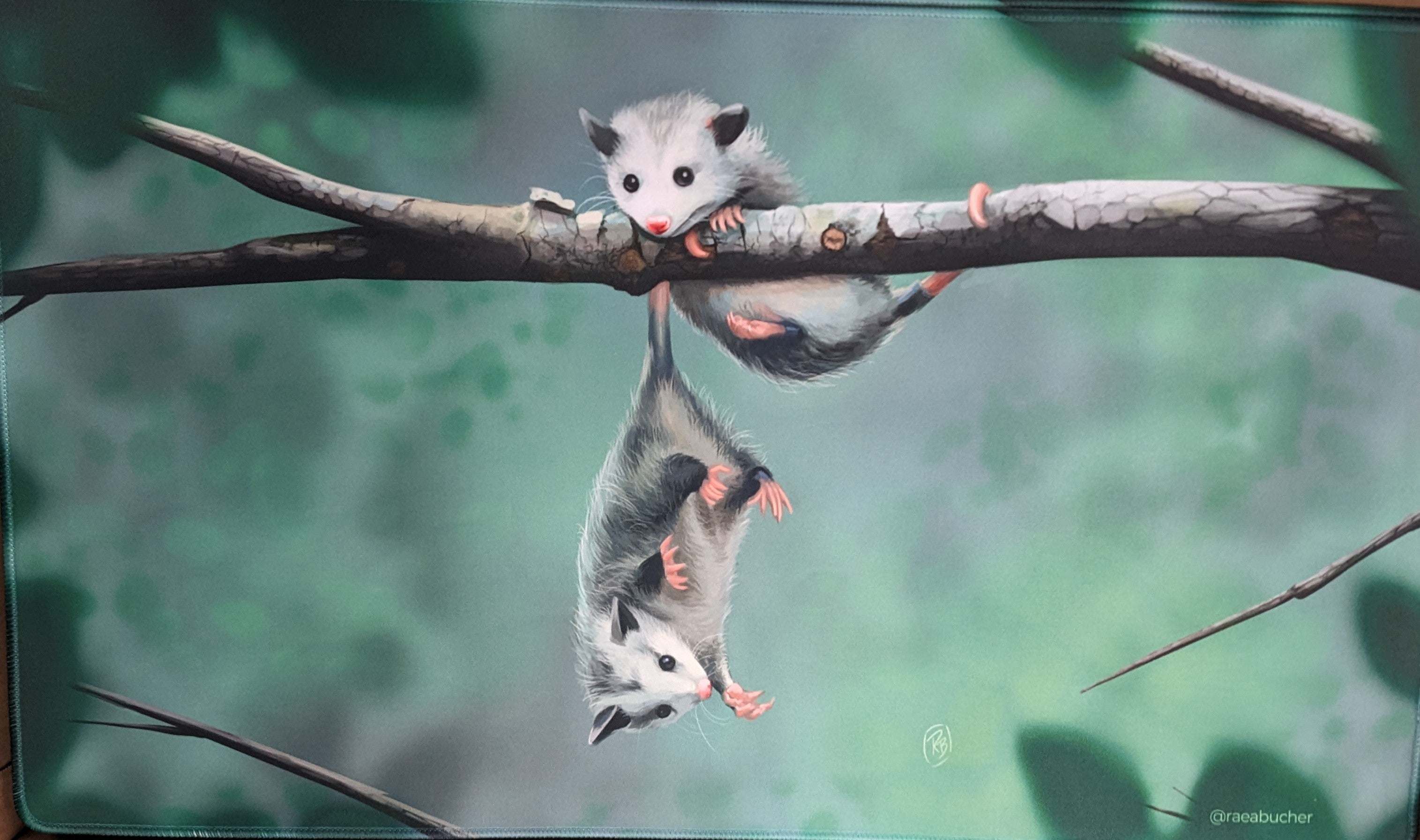 Raea Arts: Playmat - Opossums Hanging In There (2025)