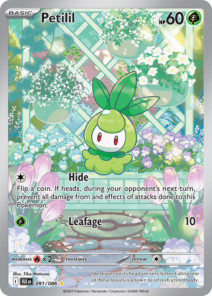 Petilil - 091/086 (BLK) Illustration Rare