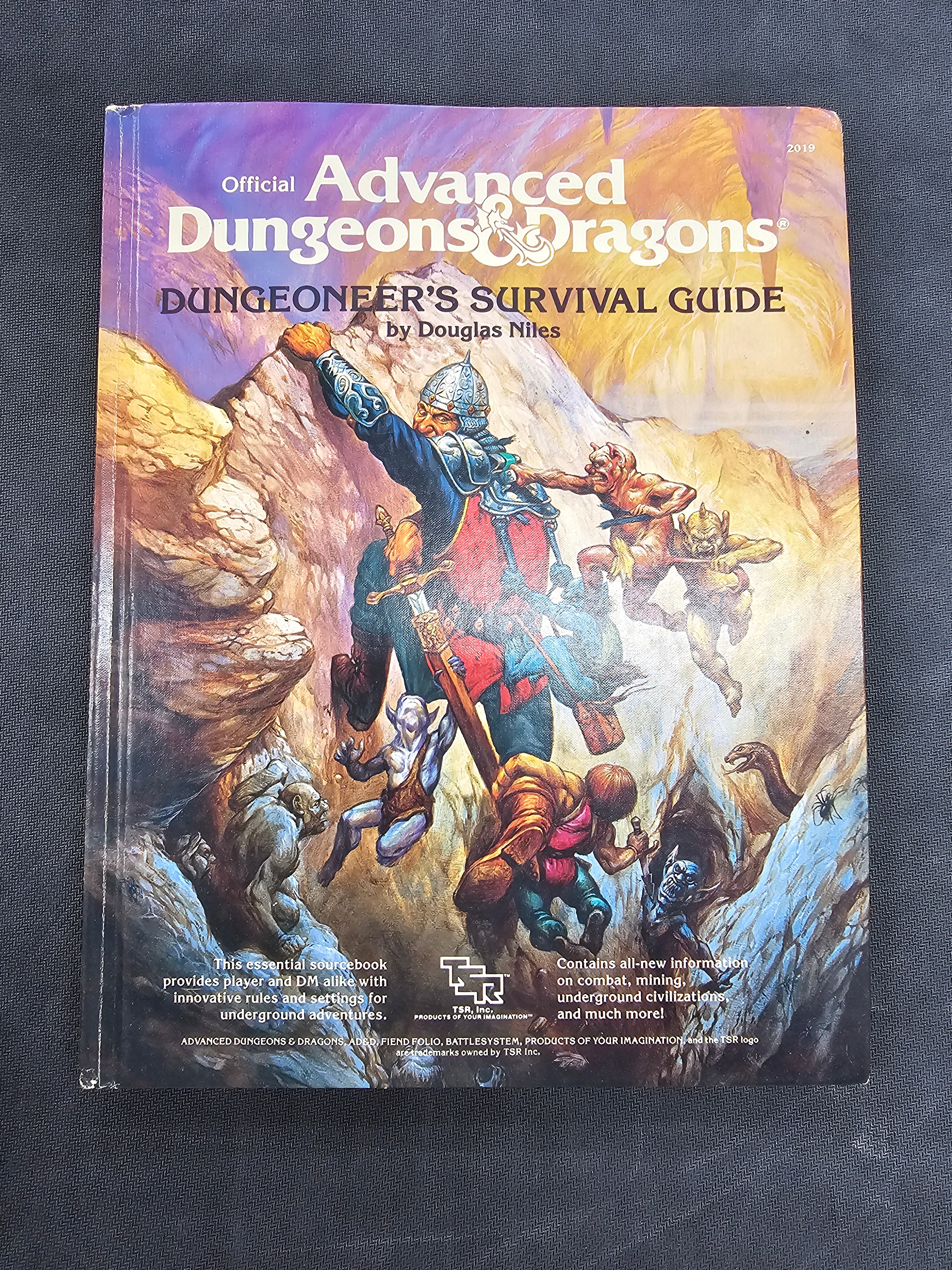AD&D: Dungeoneer's Survival Guide (TSR 2019) (USED)