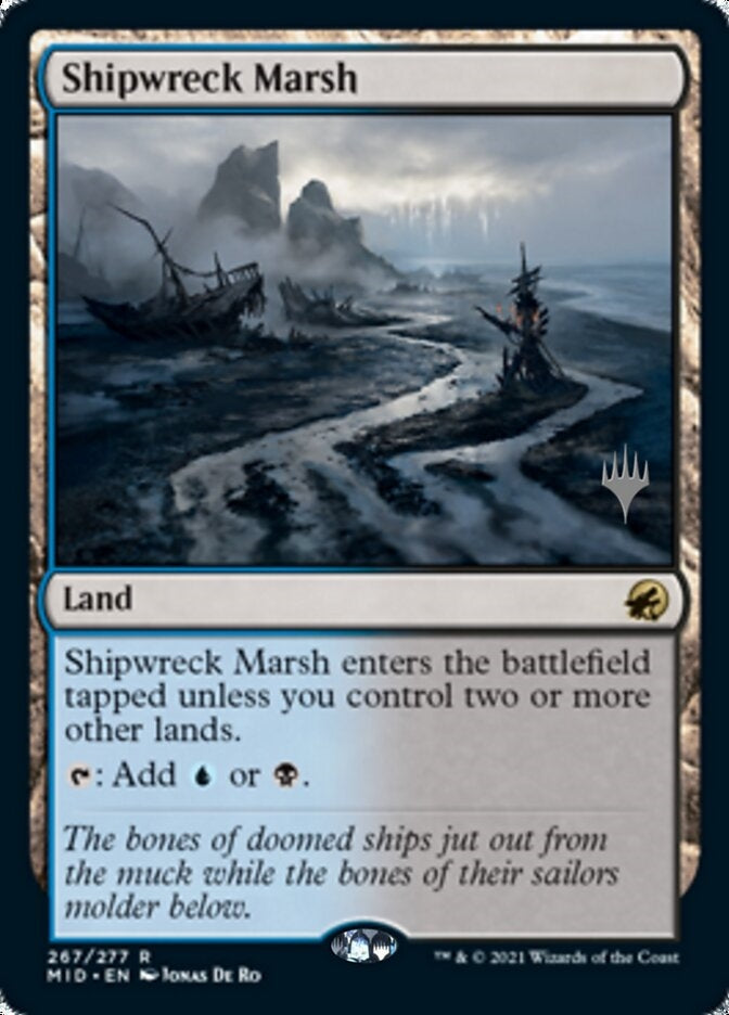 Shipwreck Marsh (MID-R-PP)
