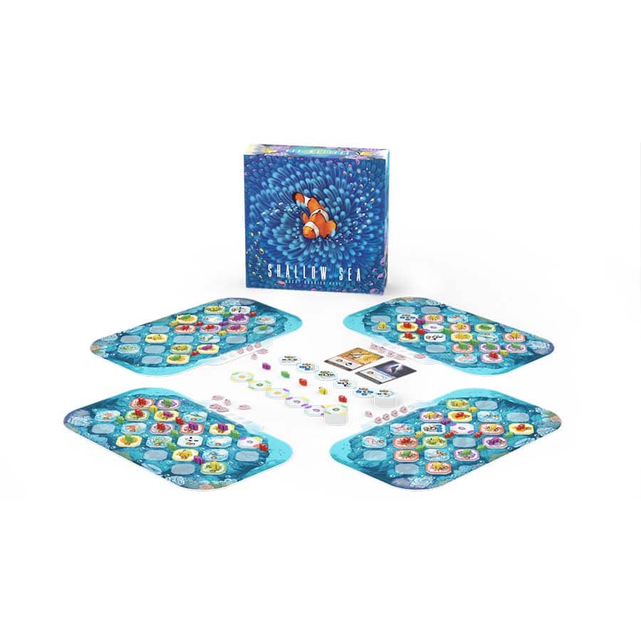 Shallow Sea - Great Barrier Reef