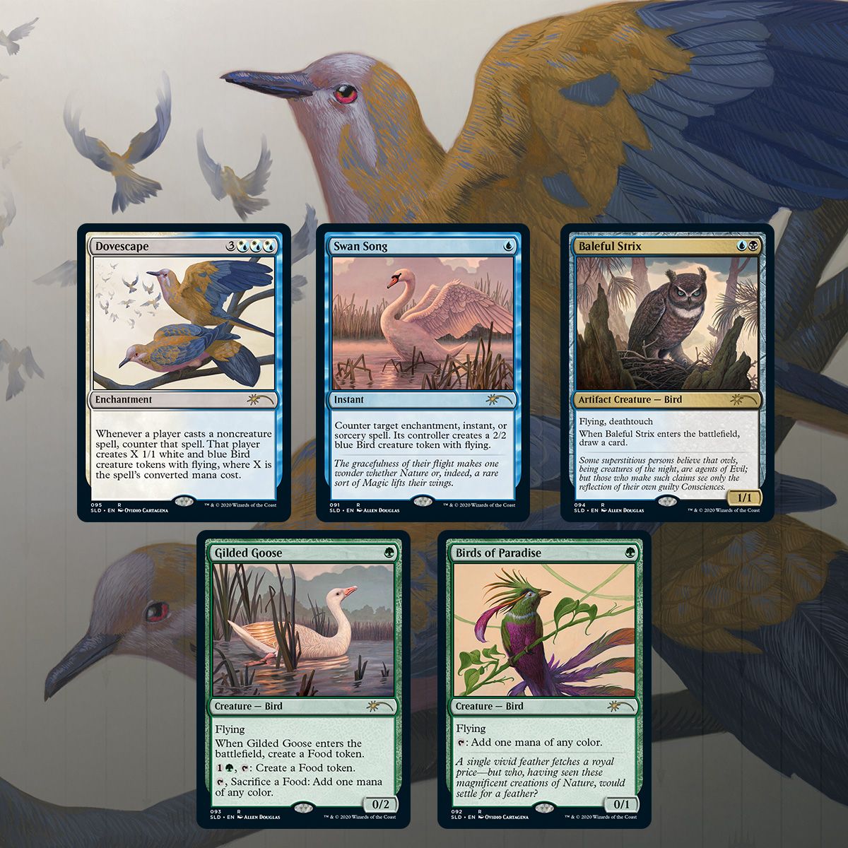 MTG: Secret Lair - Ornithological Studies