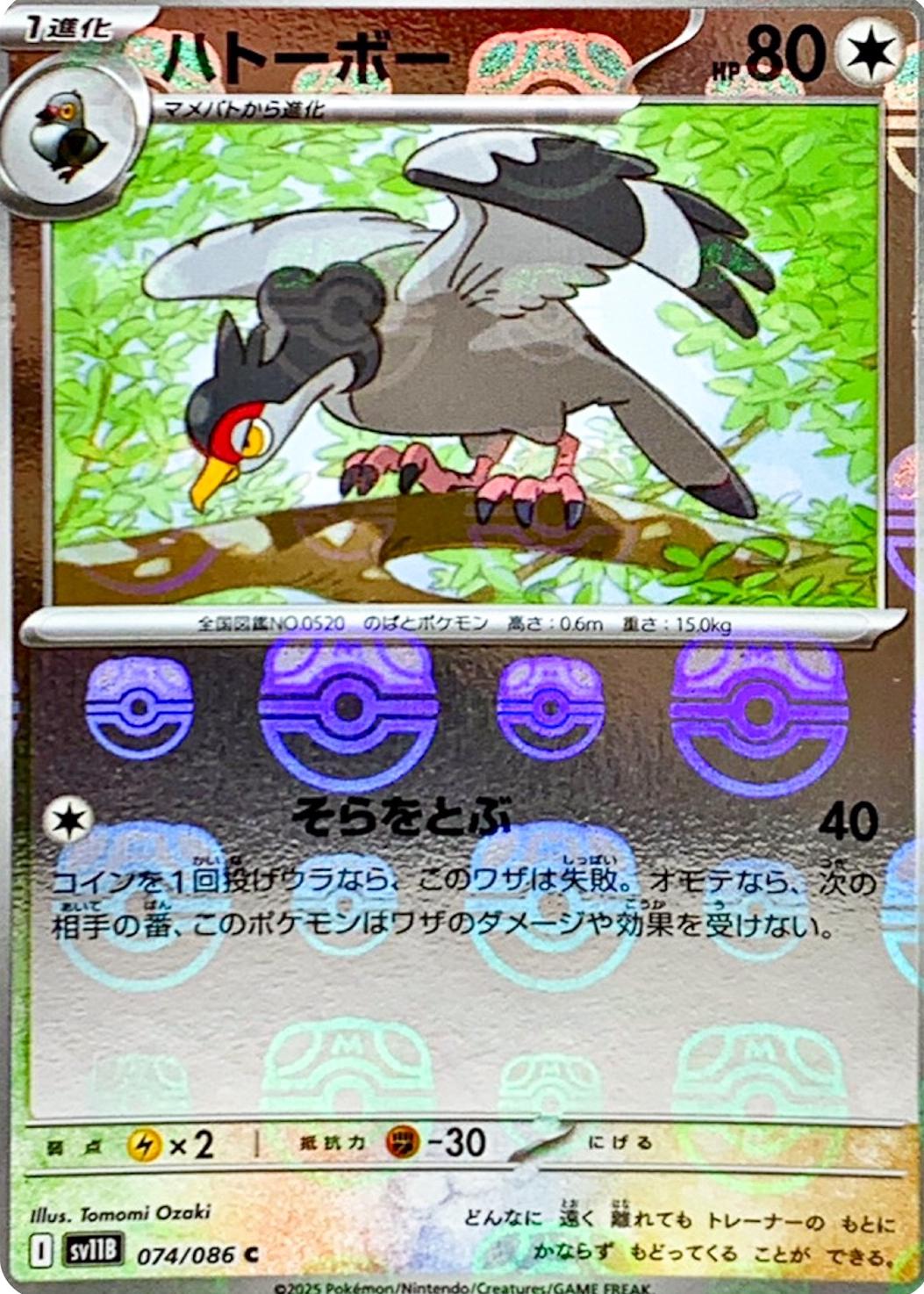 Tranquill (Master Ball Pattern) - 074/086 (SV11B) Common Near Mint Holofoil