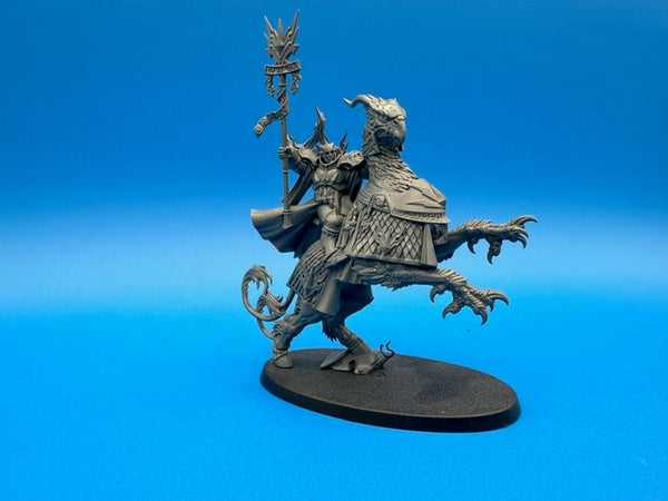 AoS: Stormcast Eternals - Lord-Arcanum and Gryph-Charger (USED)