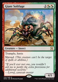 Giant Solifuge (EMA-R)
