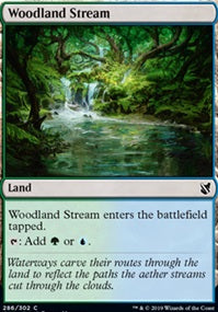 Woodland Stream (C19-C)
