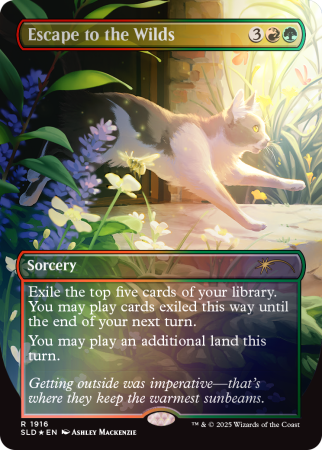 MTG: Secret Lair - Cats Are Better Than Dogs Foil Edition