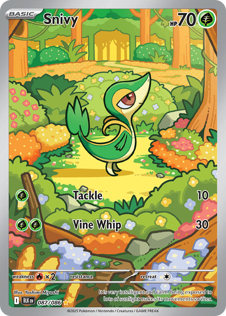 Snivy - 087/086 (BLK) Illustration Rare