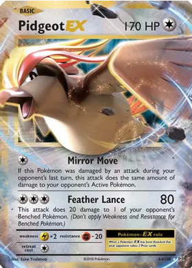 Pidgeot EX (64/108)
