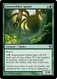 Graverobber Spider (BNG-U)