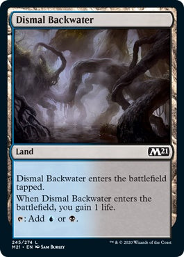 Dismal Backwater (M21-C)