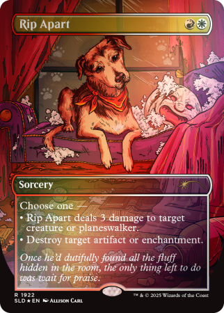 MTG: Secret Lair - Dogs Are Better Than Cats Foil Edition