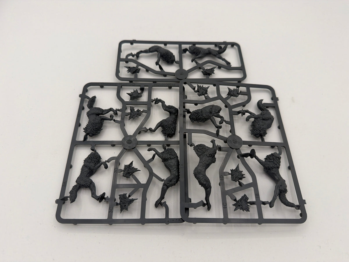 40k: Adeptus Astartes: Space Wolves - Fenrisian Wolf Pack (NEW ON SPRUE) (USED)
