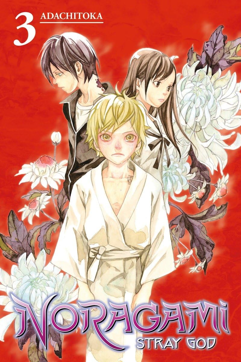 Noragami: Stray God 3 (USED)