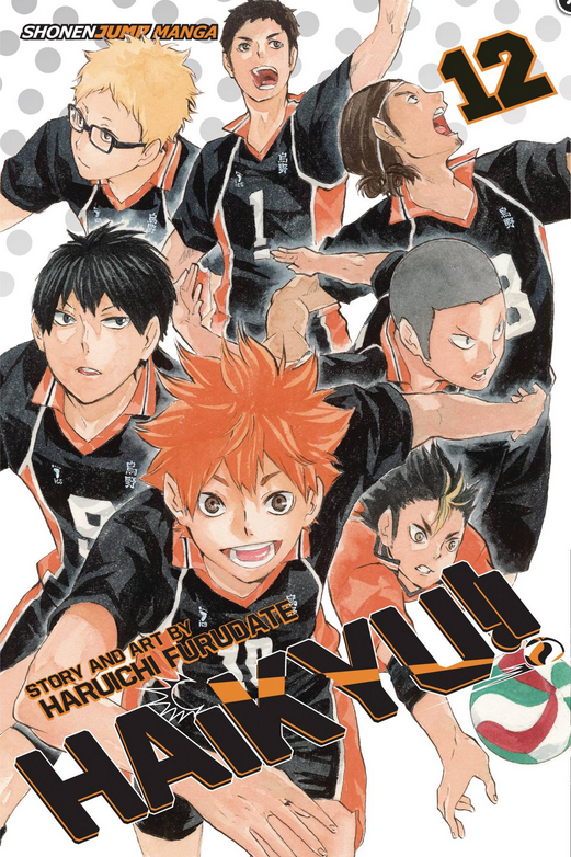 HAIKYU GN VOL 13
