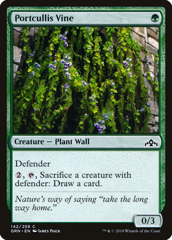 Portcullis Vine (GRN-C)