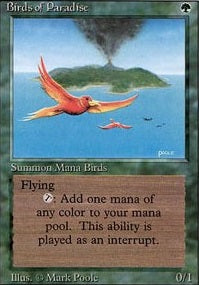 Birds of Paradise (3ED-R)