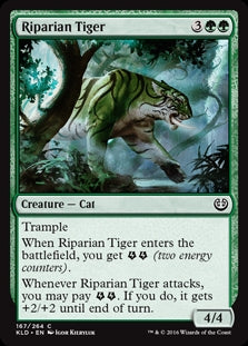 Riparian Tiger (KLD-C)