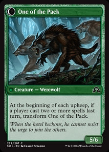 Solitary Hunter // One of the Pack (SOI-C)