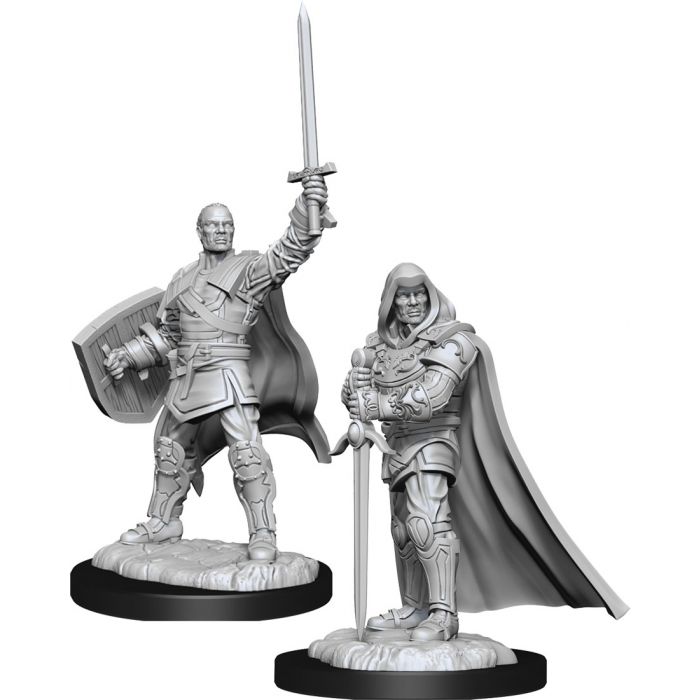 D&D: Nolzur's Marvelous Miniatures - Human Paladin Male (90136)