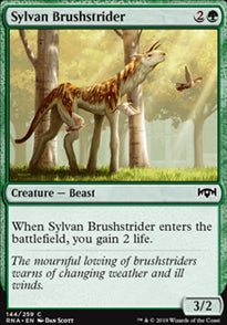 Sylvan Brushstrider (RNA-C)