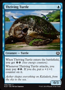 Thriving Turtle (KLD-C)
